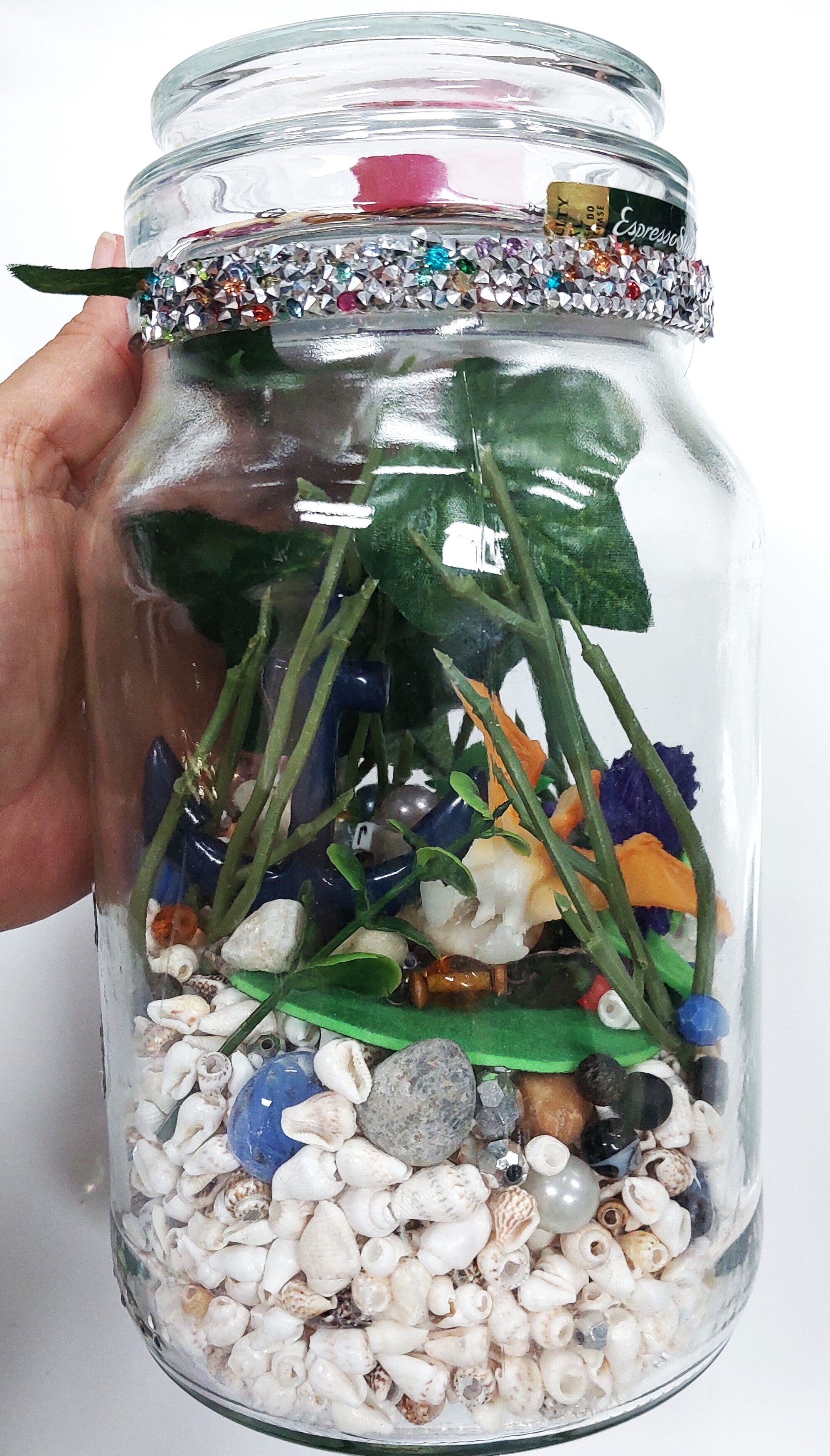 Glass jar terranium